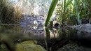 Fotos_Lebensräume