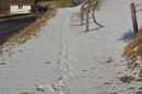 Frühling und Winter,jeden Tag was anderes.