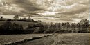 Fotos_Lebensräume