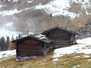 Fotos_Lebensräume