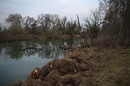 Fotos_Lebensräume
