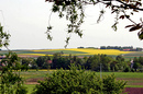 Übersicht