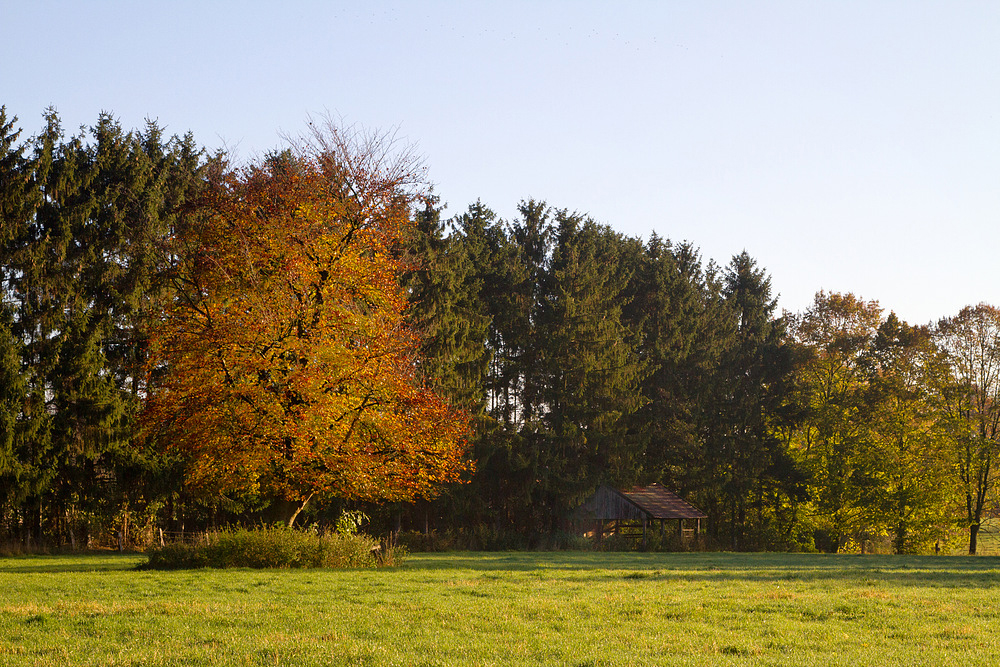 idyll
