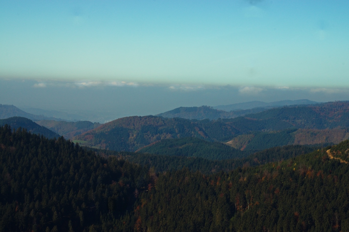 Nordschwarzwald...