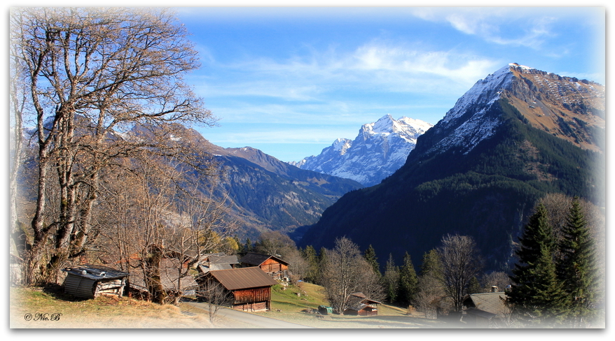 In Sulwald