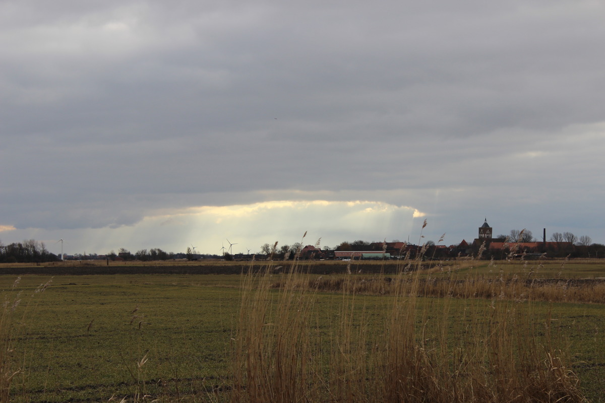 Licht 