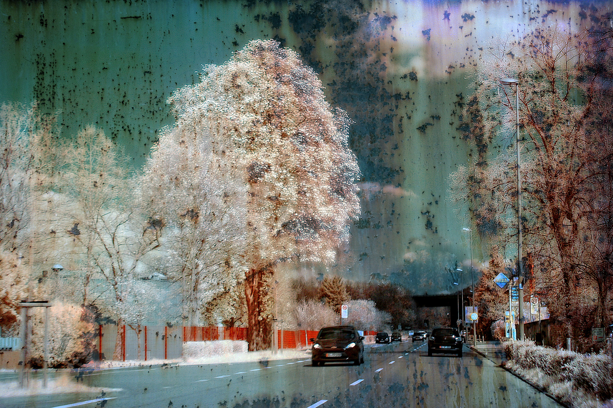 IR Aufnahme aus Brackwedde
