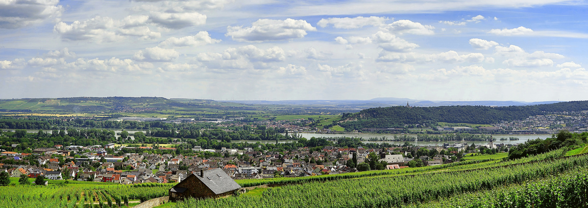 Blick vom Kloster St. Hildegard auf Rüdesheim