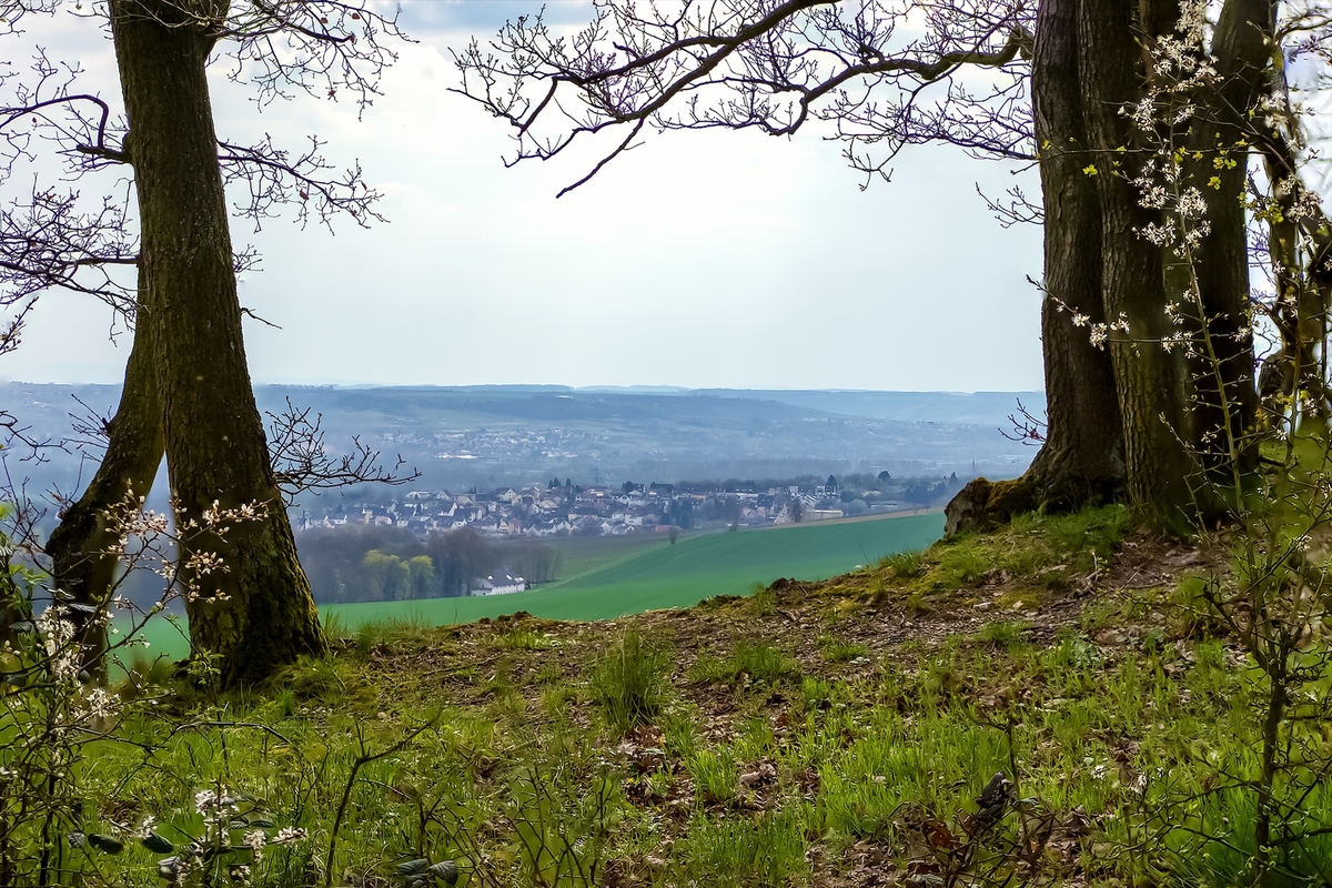Blick vom Goethestein bei Wiesbaden nach Oberwalluf