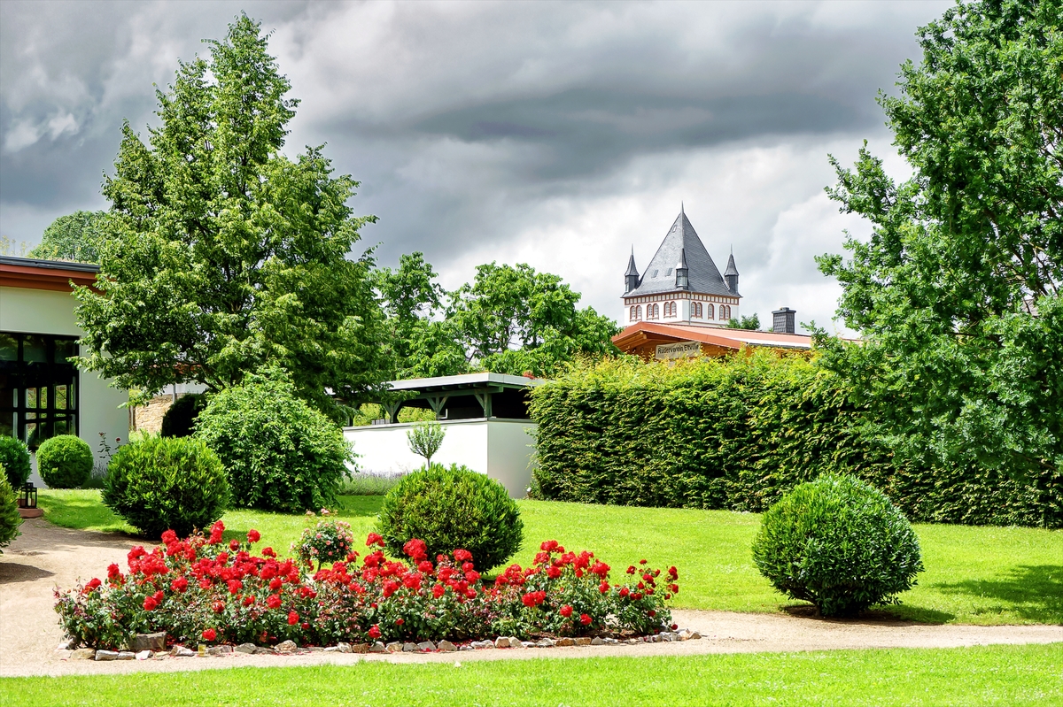 Eltville - Parklandschaft mit Blick auf den Stadtturm - 15. Juni 2016