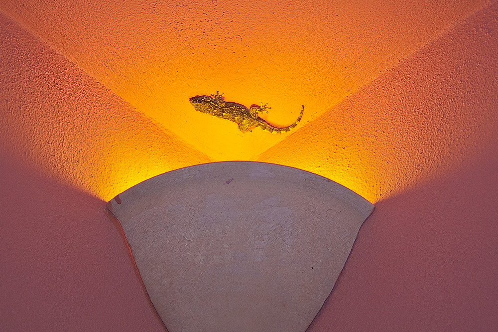 Wärme und Geborgenheit