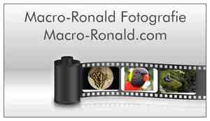 4010_03a81ccd5fa76dd5b5a71f439f036415_lp.aspx.jpeg
